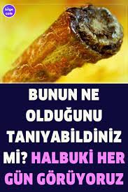 Test Gunluk Hayatta Kullandigimiz Nesneleri Yakindan Bakinca Taniyabilecek Misin 2020 Yemek Hayat Saglik