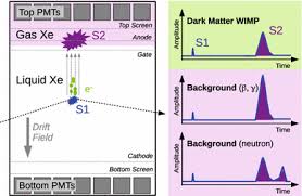 The Xenon1t Dark Matter Experiment Springerlink