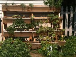 Here is how i made my wood pallet garden: Awesome Pallet Vertical Gardens Pallets Designs