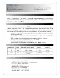 resume(java developer)