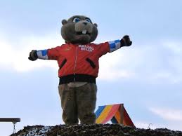 Groundhog Day Results: See Them Here - The Weather Network