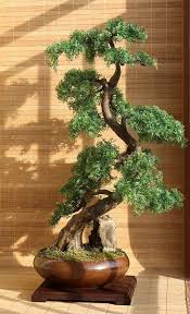 Artificial Bonsai Cedar Zokei Bonzaitree Aboutthebonzaitree Bonsai Tree Indoor Bonsai Tree Indoor Bonsai