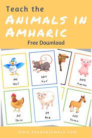 2 nursery rhymes & songs for babies by chuchu tv сезон 1 • серия 19 chuchu tv alphabet animals. Teach Your Kids The Animals In Amharic Sheba S Jewels
