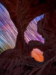 Image result for Stipagrostis uniplumis