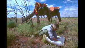 An animal song is a repetitive vocal utterance of animals such as birds and whales. Tracks A Woman S Solo Trek Across 1 700 Miles Of Australian Outback Youtube