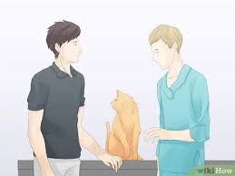 Katze pinkelt bett glamouros wunderschone katze soll nicht bett. Vermeiden Dass Deine Katze Auf Den Teppich Uriniert Wikihow