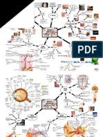 Nota padat (peta minda) sains pt3 tingkatan 3. Tingkatan 3 Docx