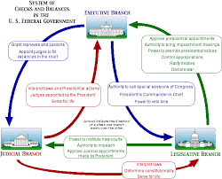 checks and balances school