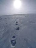 Image result for What is the coldest place on Earth?