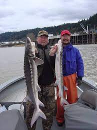 The columbia river gorge, one of the great natural treasures of the pacific northwest with its many dramatic waterfalls, channels the mighty columbia river through the cascade mountains to the pacific ocean, marking much of the border between oregon and washington. 2021 Columbia River Fishing Report The Lunkers Guide