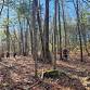 Wolf Hill Hike event image