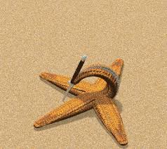 Lift your spirits with funny jokes, trending memes, entertaining gifs, inspiring stories, viral videos, and so much more. Starfish