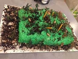 I made a vanilla rectangle cake for the bottom layer. Army Battlefield Camouflage Birthday Cake 2 Layers Of Camouflage Cake Mix Deff S Middle Layer Of Chocolate Army Birthday Cakes Camouflage Cake Mini Chips