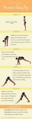 How To Do Downward Facing Dog Social Hermit Downward Facing Dog Yoga Asanas Yoga For Beginners