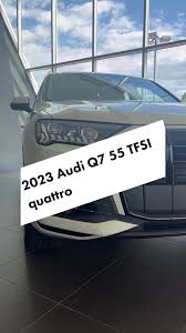 Image result for Vicuna Beige 2023 Q7