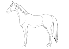 We did not find results for: Easy Two Horse Drawing Novocom Top