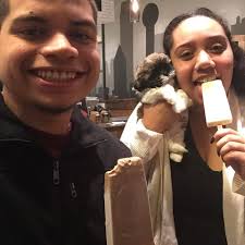 Helping to find Princess breed shitzu🙏🏻