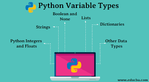 The letters m, n, p, q are often used as variables for integers. Python Variable Types Top 6 Useful Types Of Variables In Python