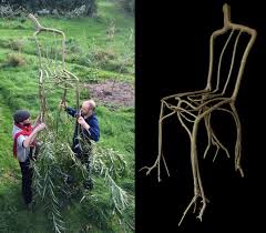 Designer Grows Trees As Artistic Furniture Straight From The Ground Tree Furniture Artistic Furniture Growing Tree