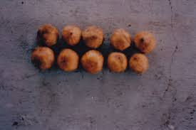 Image result for Diospyros mespiliformis