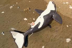 Tentacles hentai octopus unbirth - exotic creatures in erotic acts