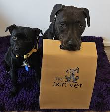 Profile for Dr Jennie's Pet Therapy