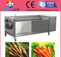 Carrots Brush Washing and Peeling Machine/Carrots Brush Washer and Peeler  Equipment