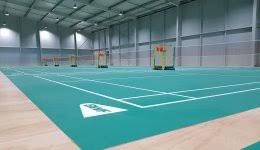 Image result for zhu badminton