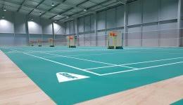 Image result for zhu badminton