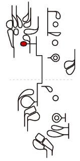 How To Play The Bassoon Bassoon Fingering Chart Musical