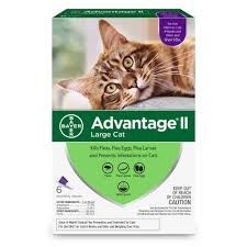 Alibaba.com offers 906 petsmart cats products. Cat Supplies Kitten Accessories Products Petsmart