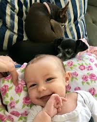 Sarah McDonnell (@thebeautyrescue) • Instagram photos and videos