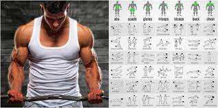 Focused Phase Training Method - 3 Month Program & Plan - Gymguider.com | Workout  Plan Gym, Muscle Training, Big Muscles