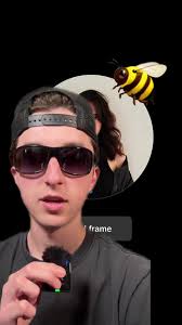 How to Get The Gabriela Bee Bee