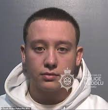 Judge slams father of teenage driver, 19, for 'overindulging' him and  taking the blame for speeding ticket months before his lad killed two pals  in a high-speed smash