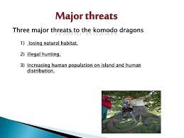 Ppt Biodiversity To Defend Or Not Defend Powerpoint