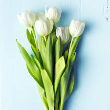 Hours may change under current circumstances Conroy S Flowers Bakersfield Home Facebook