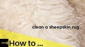 We did not find results for: How To Clean A Sheepskin Rug So Easy Youtube