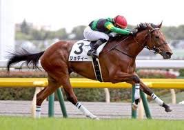 ダイワメジャー産駒の有力馬や注目産駒 Pog2018 2019 競馬ニュース Tv
