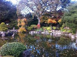 Japanese Tea Garden In San Mateo Ca Garden Park Redondo Beach Tea Garden