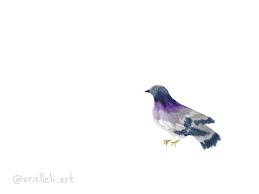 Pigeon Cooing Gif By Arielle Li School Yard Marina Del Rey Coo