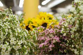 Maybe you would like to learn more about one of these? Martin Martinez Flowers Southern California Flower Market