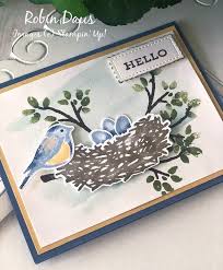 Handmade Hello Card Made With The Stampin Up Birds Branches Bundle Prettypapercards Com Via Prettypaperc Handmade Cards Stampin Up Hello Cards Bird Cards