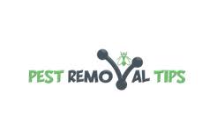 Jg pest control are not part of the pest control ombudsman and we were very disappointed with there service. Is Pest Control Worth It Everything You Need To Know Pest Control Pest Removal Tips