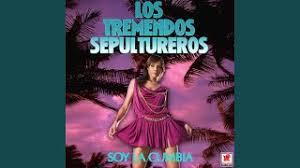 Puedes usar el buscador ingresando el titulo de la película o serie, año, actor, palabras clave y tambien por codigo imdb (ejemplo: Descargar El Ropavejero De Los Sepultureros