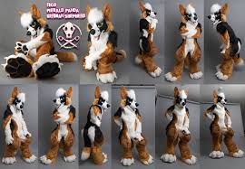 Check spelling or type a new query. That S Furred Up On Twitter This German Shepherd With Unique Panda Coloration Had Too Much Sass For Even The Photo Setup To Handle