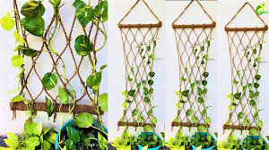 How to grow money plant, money plant in glass bottle, money plant growing ideas,money plants feng shui,clear glass wall. Money Plant Money Plant Growing Style Money Plant Wall Decor Organic Garden Youtube