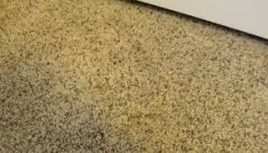 Hair dryers combine both types of small appliances: How To Repair A Burn Mark From Carpet The Easy Method