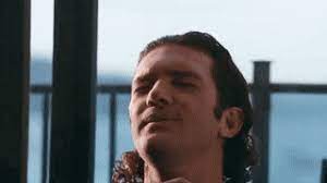 Antonio banderas' laptop reaction is an animated computer reaction gif of spanish actor antonio banderas laughing smugly in front of a laptop computer in a scene from the 1995 action thriller film assassins. Latest Antonio Banderas Gifs Gfycat