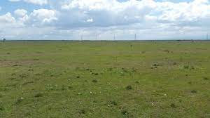And gust keep going on. Should You Buy A 50 By 100 Plot Of Land Land For Sale In Kenya